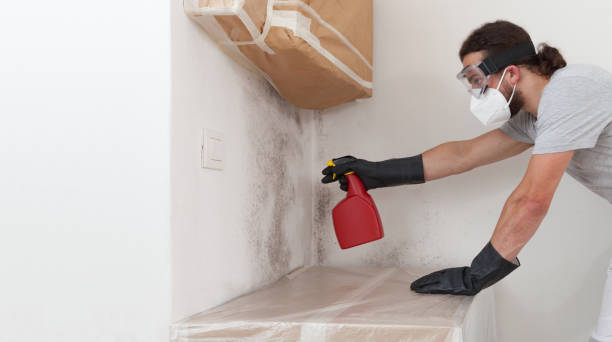 Professional Crawl Space Mold Remediation technician working in East Brunswick, NJ