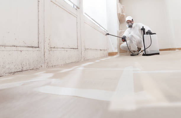 24/7 Emergency Crawl Space Mold Remediation experts in East Brunswick, NJ